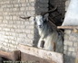 zemestan89 (5)_resize.jpg